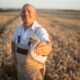 portrait-successful-senior-farmer-agronomist-standing-wheat-field-holding-wheat-crops_342744-1252